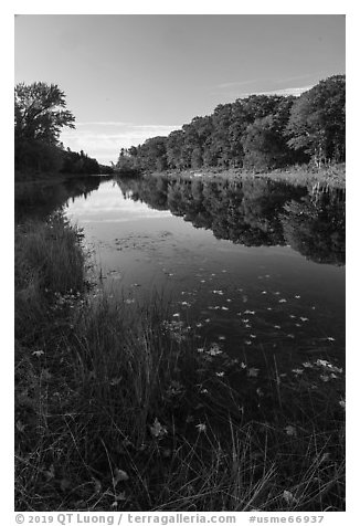 East Branch Penobscot River with fallen leaves, early morning reflections. Katahdin Woods and Waters National Monument, Maine, USA (black and white)
