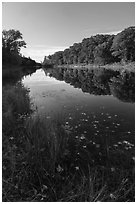 East Branch Penobscot River with fallen leaves, early morning reflections. Katahdin Woods and Waters National Monument, Maine, USA ( black and white)