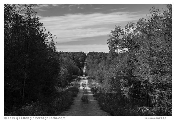 International Appalachian Trail following old logging road. Katahdin Woods and Waters National Monument, Maine, USA (black and white)