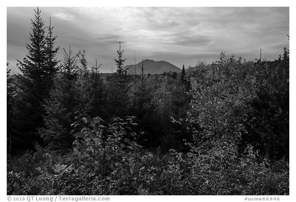 First view of Katahdin in autumn. Katahdin Woods and Waters National Monument, Maine, USA (black and white)