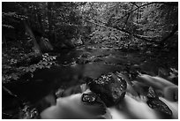 Cascade, Katahdin Brook. Katahdin Woods and Waters National Monument, Maine, USA ( black and white)
