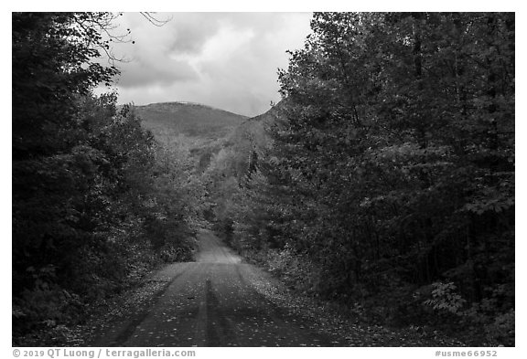 Messer Pond Road and mountain framed by trees in autumn foliage. Katahdin Woods and Waters National Monument, Maine, USA (black and white)