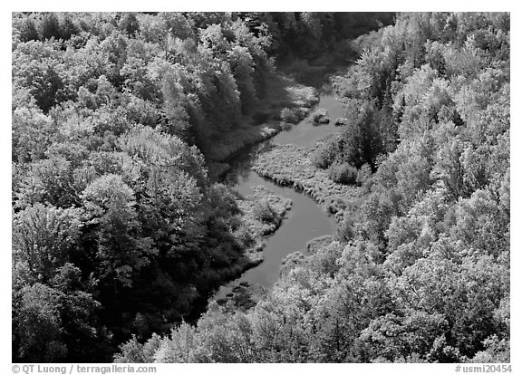 River with curve and fall forest from above, Porcupine Mountains State Park. USA (black and white)