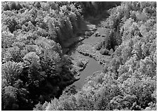 River with curve and fall forest from above, Porcupine Mountains State Park. USA ( black and white)