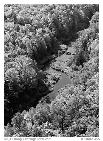 River and trees in autumn colors, Porcupine Mountains State Park. Upper Michigan Peninsula, USA (black and white)