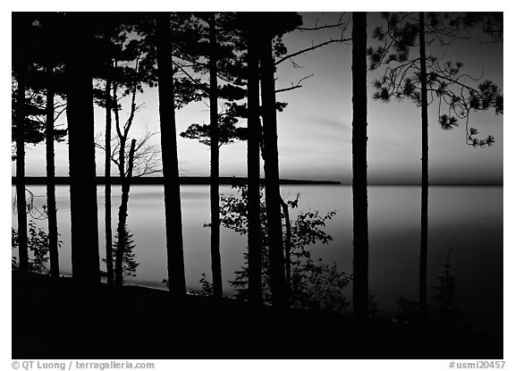 Trees and sunset, Lake Superior. Upper Michigan Peninsula, USA