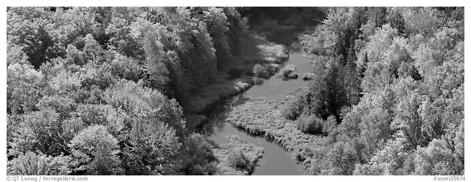 Forest in fall color and river from above. Upper Michigan Peninsula, USA (black and white)