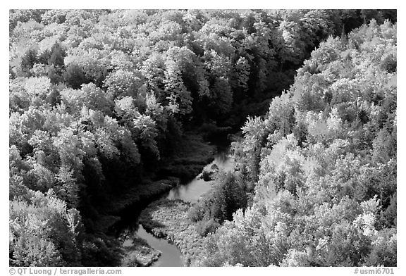 River and trees in autumn colors, Porcupine Mountains State Park. Upper Michigan Peninsula, USA (black and white)