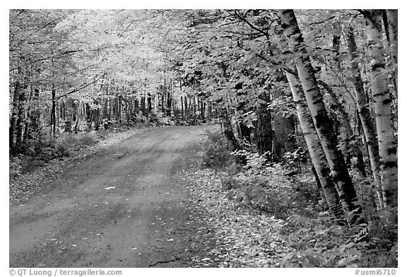 Rural road with fall colors, Hiawatha National Forest. Upper Michigan Peninsula, USA