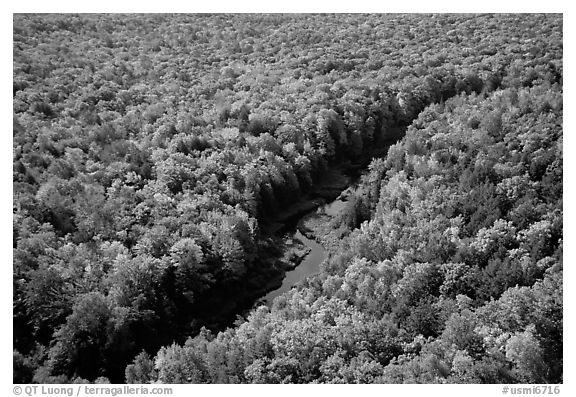 River and trees in autumn colors, Porcupine Mountains State Park. Upper Michigan Peninsula, USA (black and white)