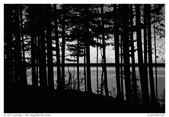 Lake Superior seen through dense trees at sunset,  Pictured Rocks National Lakeshore. Upper Michigan Peninsula, USA (black and white)