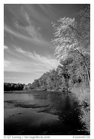 Trees and river, Banning State Park. Minnesota, USA (black and white)