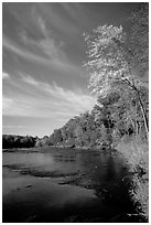 Trees and river, Banning State Park. Minnesota, USA (black and white)