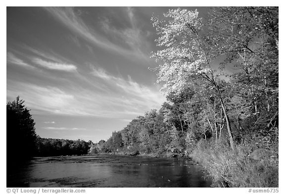 Trees and river, Banning State Park. Minnesota, USA (black and white)