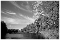 Trees and river, Banning State Park. Minnesota, USA (black and white)