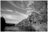 Trees and river, Banning State Park. Minnesota, USA ( black and white)