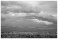 Storm clouds over field. North Dakota, USA (black and white)