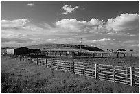 Cattle enclosure. North Dakota, USA (black and white)