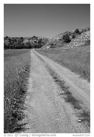 Narrow gravel road with wildflowers. North Dakota, USA