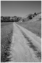 Narrow gravel road with wildflowers. North Dakota, USA (black and white)