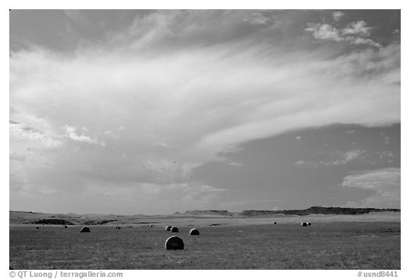 Hay rolls and storm cloud. North Dakota, USA (black and white)