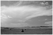 Hay rolls and storm cloud. North Dakota, USA (black and white)