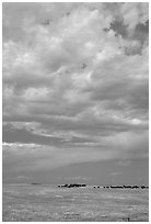 Open pasture with cows and clouds. North Dakota, USA (black and white)