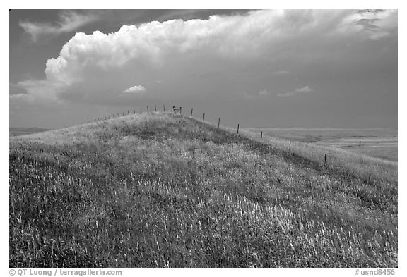 Grassy hills. North Dakota, USA