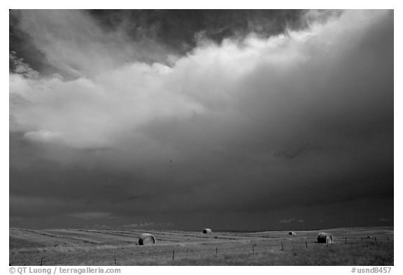 Hay rolls under a storm cloud. North Dakota, USA