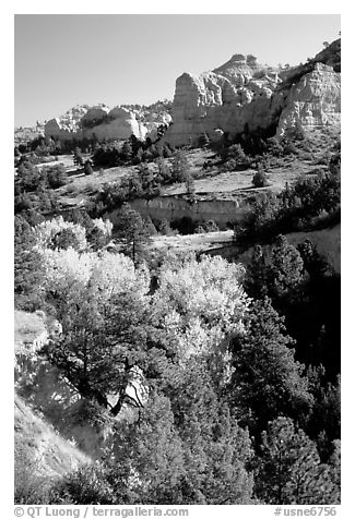 Trees and sandstone cliff. Nebraska, USA (black and white)