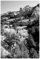 Trees and sandstone cliff. South Dakota, USA (black and white)