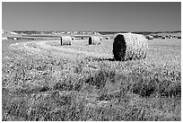 Hay rolls. Nebraska, USA ( black and white)