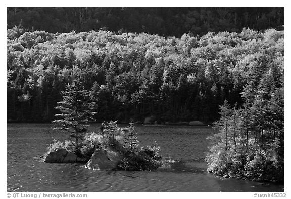 Islet on Beaver Pond in autumn, White Mountain National Forest. New Hampshire, USA (black and white)