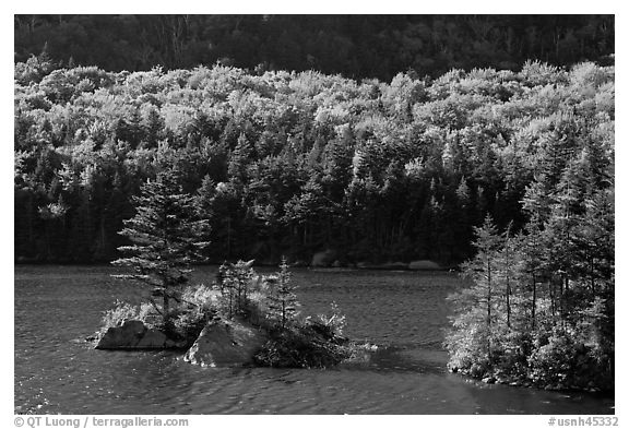 Islet on Beaver Pond in autumn, White Mountain National Forest. New Hampshire, USA