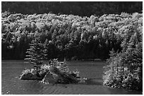 Islet on Beaver Pond in autumn, White Mountain National Forest. New Hampshire, USA (black and white)
