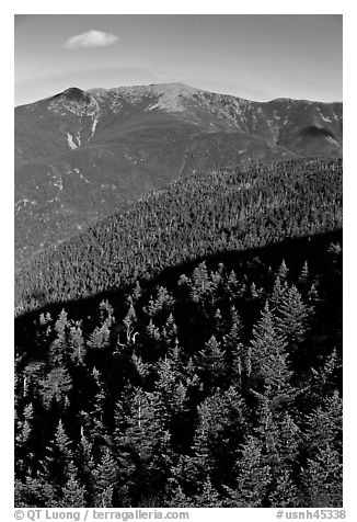 Conifer treetops and mountains, White Mountain National Forest. New Hampshire, USA