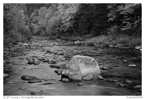 Stream in autumn, White Mountain National Forest. New Hampshire, USA