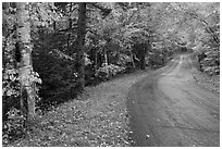 Rural road in autumn, White Mountain National Forest. New Hampshire, USA (black and white)