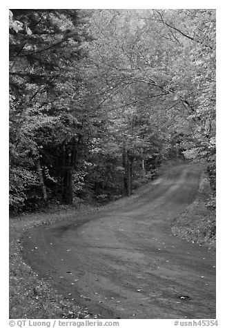 Rural road in the fall, White Mountain National Forest. New Hampshire, USA (black and white)
