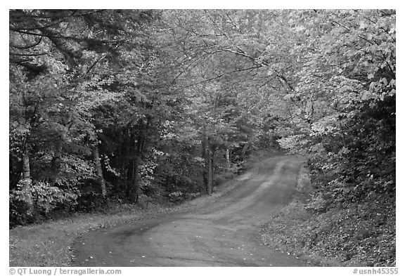 Country road in autumn, White Mountain National Forest. New Hampshire, USA (black and white)