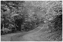 Country road in autumn, White Mountain National Forest. New Hampshire, USA (black and white)