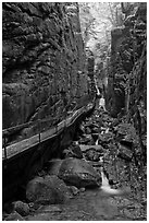 Flume Gorge, Franconia Notch State Park. New Hampshire, USA ( black and white)