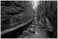 The Flume, narrow granite gorge, Franconia Notch State Park. New Hampshire, USA ( black and white)