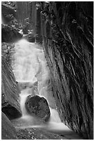 Flume Brook, Franconia Notch State Park. New Hampshire, USA ( black and white)