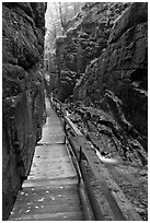 Boardwalk in the Flume, Franconia Notch State Park. New Hampshire, USA (black and white)
