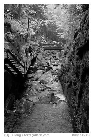 Flume gorge and hikers walking on boardwalk, Franconia Notch State Park. New Hampshire, USA (black and white)