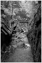 Flume gorge and hikers walking on boardwalk, Franconia Notch State Park. New Hampshire, USA (black and white)