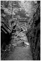 Flume gorge and hikers walking on boardwalk, Franconia Notch State Park. New Hampshire, USA (black and white)