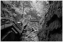 Rainy day at the Flume, Franconia Notch State Park. New Hampshire, USA ( black and white)