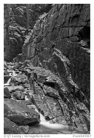 Flume brook at the base of granite and basalt walls, Franconia Notch State Park. New Hampshire, USA